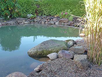 Teichbau